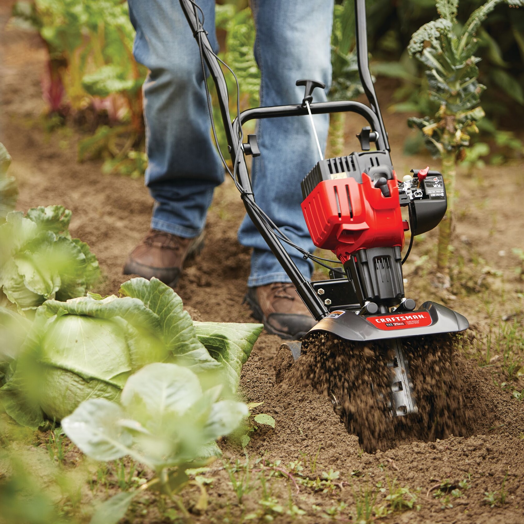 2 Cycle Gas cultivator breaking tough soil.