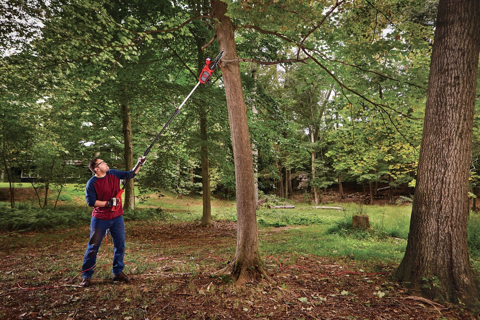 View of CRAFTSMAN Pole Saws  being used by consumer
